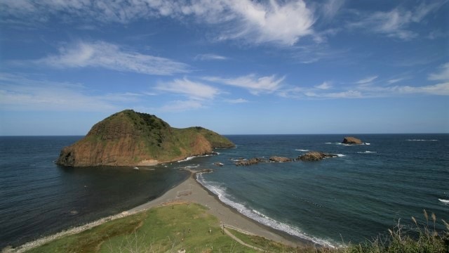 黒いちじく「ヴィオレ・ソリエス」（佐渡島産）入荷のご案内